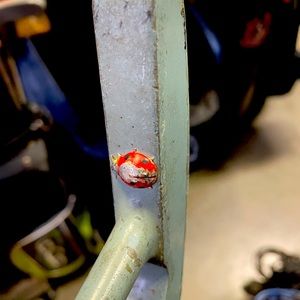 womans golf putter Lady bug
Double sided .